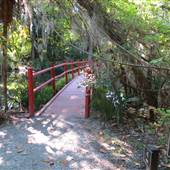 Magnolia Plantation & Gardens MAY - Red Bridge Pond & Surrounding Area