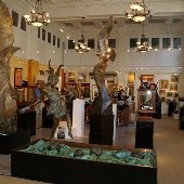 Martin Gallery