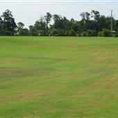 Orangeburg Country Club - Holes 10, 11, 12