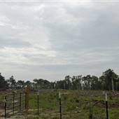 Hobcaw Barony - Fraser Point