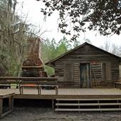 Gracefield Plantation - Fishburne Estate