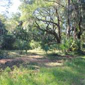Kiawah River Plantation