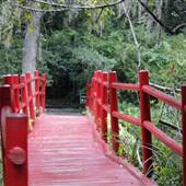 Magnolia Plantation & Gardens - River Walk