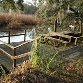 Harrietta Plantation Dec 2017 - Central Pond & Creek