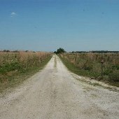 Florence-Darlington Border