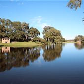 Middleton Place - Bridge over Rice Mill Pond & Azalea Hillside Walk