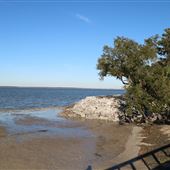 Hilton Head - Dolphin Head Beach