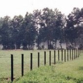 Sugah Cain Lane