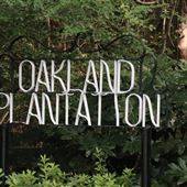 Oakland Plantation Lakes, Oak Avenue, & House (mid August 2019)