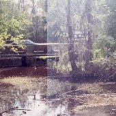 Pocotaligo Swamp and Nature Walk