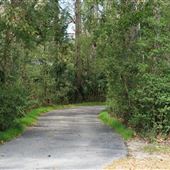 Palmetto Islands County Park TRAILS  - March 2020