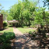 MUSC - McCauley Museum of Dental History