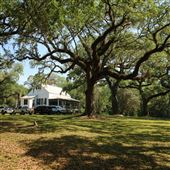 Hyde Park Plantation - Main House Exteriors