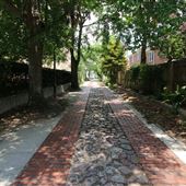 Burges Lane