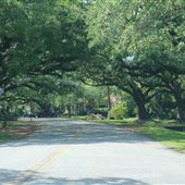 Stocker Drive