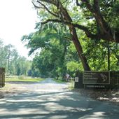 Bears Bluff Road (2)