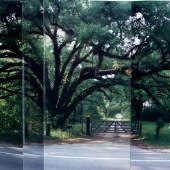 Roads Local & Country
