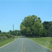 Towles Road May 14 2021