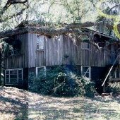 Reeds House