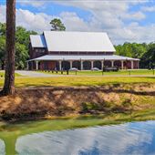 Eden at Gracefield