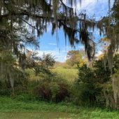 Brookgreen Gardens