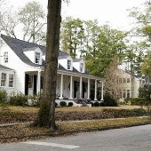Abelia and Cassina Neighborhood