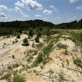 Giant Cement Sand Pit