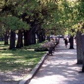 White Point  Gardens