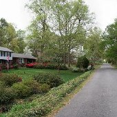 Ferncliff Road