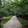 Glencairn Gardens