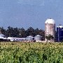 Brubaker Farms