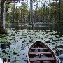 Cypress Gardens