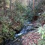 Caesars Head State Park - Wildcat Branch Falls