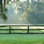 Boone Hall Plantation - Farm Looks