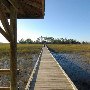 Hunting Island State Park - Marsh Walk