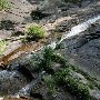 Twin Falls (aka Reedy Cove Falls)
