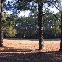Chester State Park