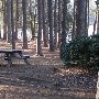 Chester State Park