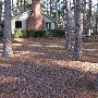 Chester State Park
