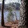 Chester State Park