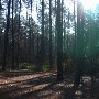 Chester State Park
