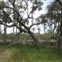 Hunting Island State Park - Lagoon - Shot from East Side