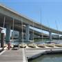 City Marina Sailing Club