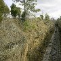 South Carolina Railroad Museum- Greenbriar Cut