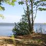 Lake Moultrie - Cross Area (Wilderness View)