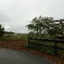 Kiawah Island - Mingo Point
