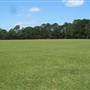 Boone Hall Plantation - Old Polo Field MAY LOOK