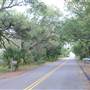 Myrtle Beach-41st ave. North