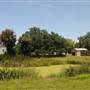 Botany Bay - Cottage Clearing