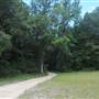 Dungannon Plantation - Hunt Camp Rd B
